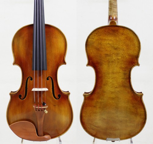 Stupendo violino fatto - , mano