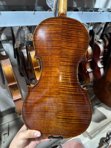 Violino stradivirus fatto - stradivirus,