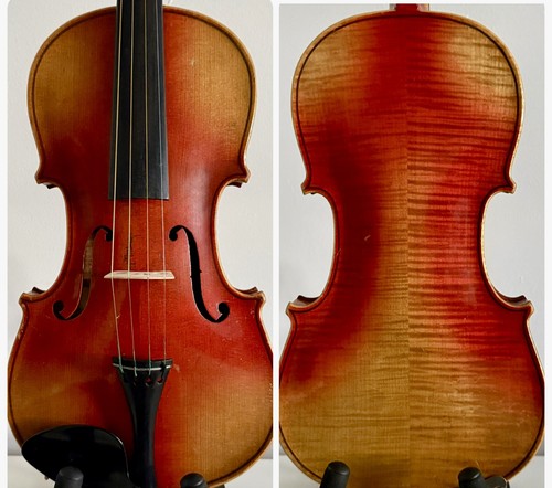 Bellissimo violino maple - bellissimo,