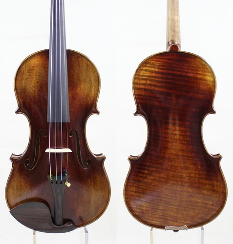 Dorso guarneri del gesù - dorso!,