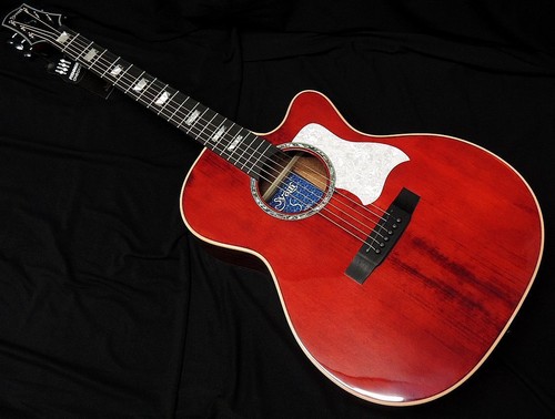 Chitarra acustica elettrica - acustica,