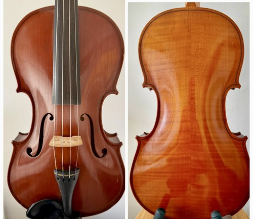 Bellissima stupenda viola - e,